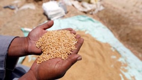 التموين: أليات جديدة لتخفيض الأسعار المقدمة فى مناقصات استيراد القمح
