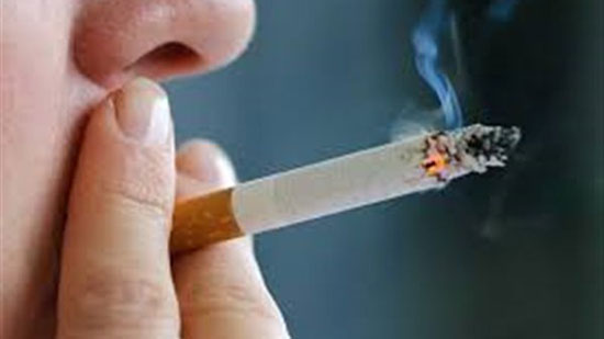 خليها في المصنع.. اقتصادية البرلمان توضح تأثير الحملة على أسعار السجائر