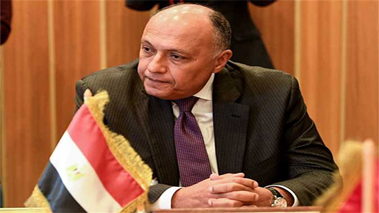 وزير الخارجية يبحث إقامة منطقة حرة لوجيستية مصرية في جيبوتي