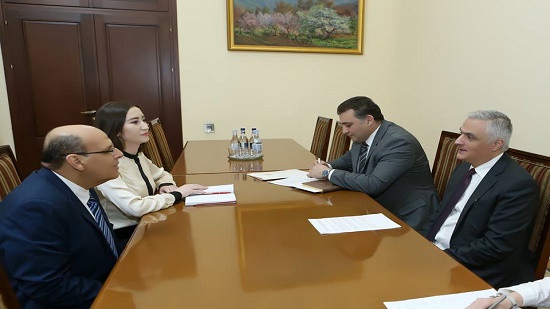 سفير مصر لدى أرمينيا يلتقي نائب رئيس الوزراء الأرميني
