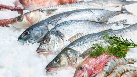 أسعار الأسماك في الأسواق اليوم 17-2-2019
