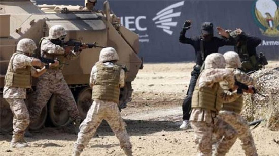 مقتل 16 إرهابي في مداهمة أمنية بشمال سيناء