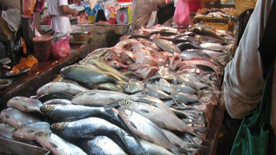 أسعار السمك اليوم فى الأسواق