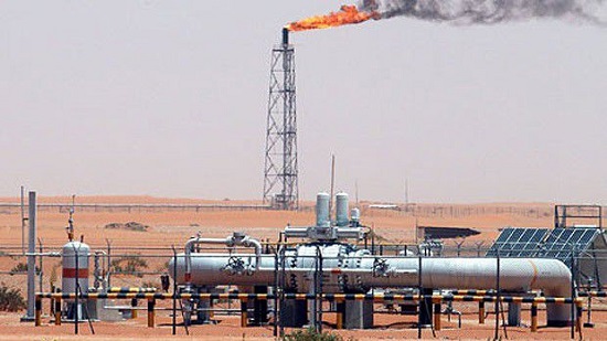 وزير البترول السابق:91%من إنتاج الكهرباء فى مصر يعتمد على الغاز