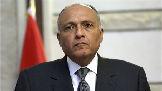  شكري : الرئيس السيسي الرجل المناسب في ظل التهديدات التي تستهدف أمن مصر 
