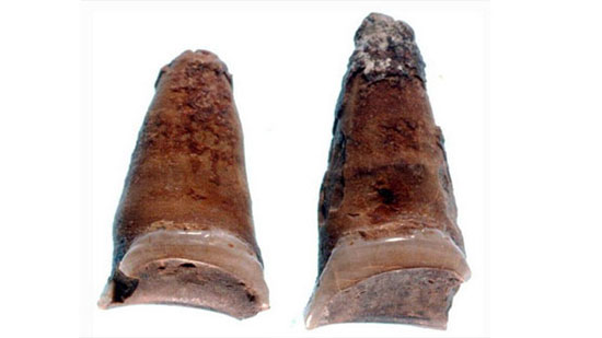 أسنان فرعونية تكشف أسرار المرأة العاملة فى مصر القديمة