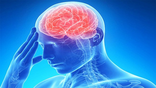  اكتشاف جين يقلل من تورم المخ بعد السكتة الدماغية
