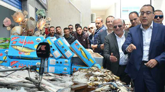 حملات مكثفة على مصانع الأسماك المملحة استعدادًا لشم النسيم 