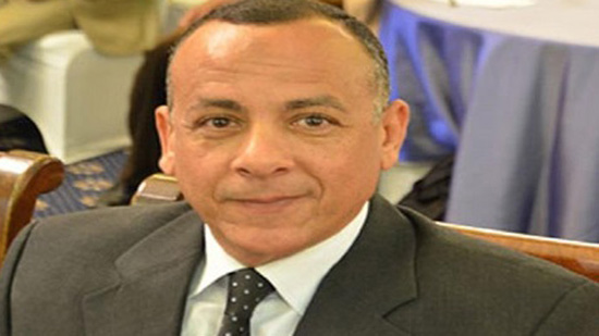  الدكتور مصطفى وزيرى، الأمين العام للمجلس الأعلى للآثار المصرية