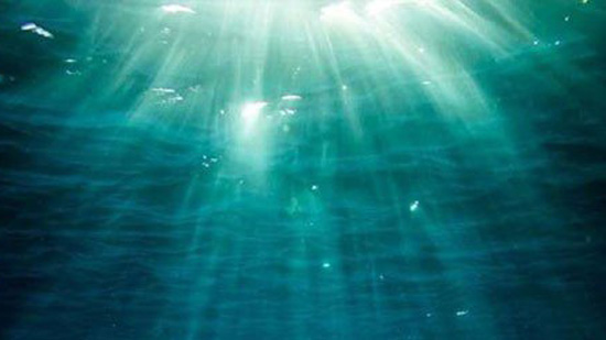 باحثون يعثرون على مخلوق بحري عاش قبل 99 مليون عام محفوظًا في 
