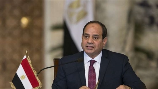 الرئاسة: السيسي يستقبل رئيس المجلس الانتقالي بالسودان
