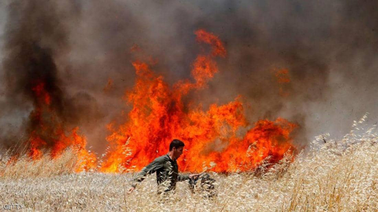  إسرائيل تكشف عن خسائرها من حرائق الموجة الحارة 