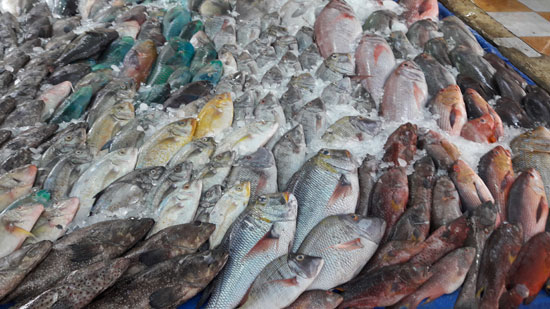 أسعار الأسماك اليوم | تعرف على الأسعار في سوق العبور