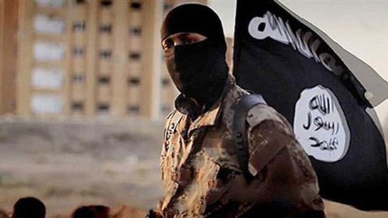  المفتي: داعش ارتكبت جميع المنكرات والفظائع وطوبى لمن قتلهم
