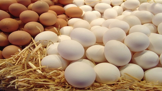 شعبة الدواجن: توقعات بانخفاض أسعار البيض الأسبوع المقبل بالأسواق