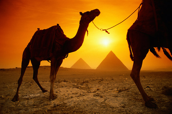 صور مصر - صور الاماكن السياحية فى مصر 