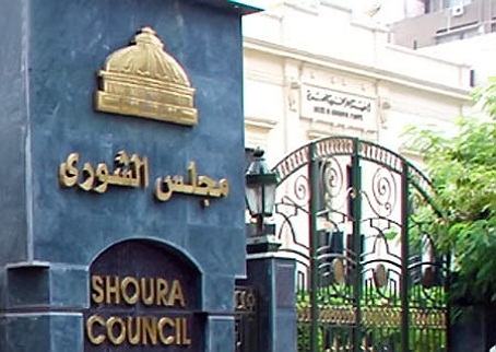 الشورى يستغل التشريع فى مواجهة مظاهرات 30 يونيو