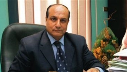الدكتور نجيب جبرائيل، رئيس الاتحاد المصري لحقوق الإنسان