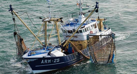  نقيب الصيادين: السلطات التونسية احتجزت مركب صيد وعلى متنها 16 صياد
