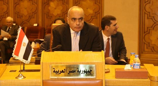 السفير عمرو أبو العطا
