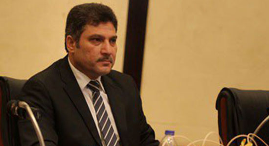 د. حسام محمد مغازى وزير الموارد المائية 