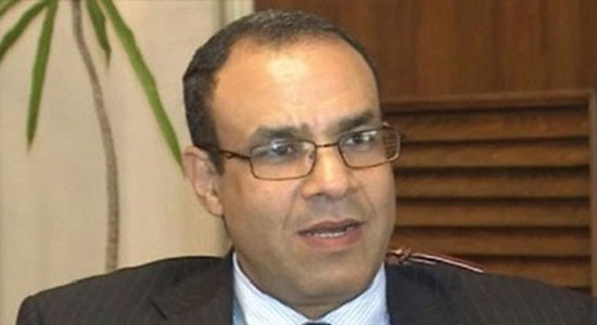 السفير بدر عبدالعاطي المتحدث باسم وزارة الخارجية المصرية