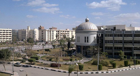  جامعة الفيوم