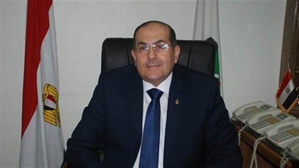 الدكتور أيمن عبدالمنعم، محافظ الإقليم