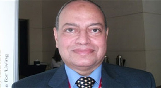  الكاتب الصحفي الدكتور، محمد عز العرب