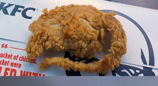 هل هذه دجاجة أم فأر مقلي بوجبة KFC؟