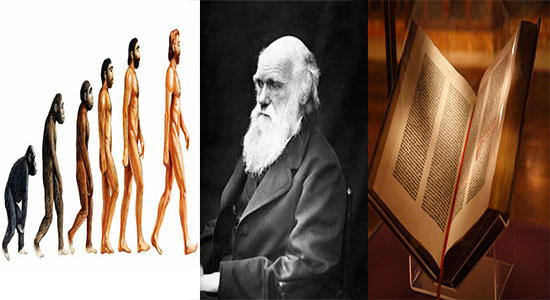 تعبيرية لـ داروين ونظريته
