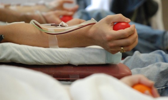 الكنيسة القبطية في الإمارات تنظم حملة للتبرع بالدم