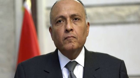 عاجل| قنصلية مصر بالكويت تعترف بصحة فيديو 