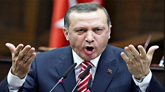 تركيا أردوغان المستفيد الأوحد من بركان سوريا ودول الخليج الخاسر الأكبر بعد السوريين