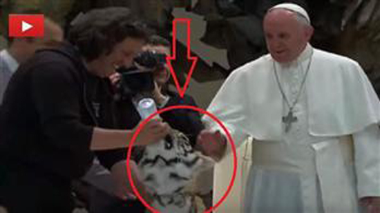  بالفيديو.. بابا الفاتيكان يخيف نمر صغير
