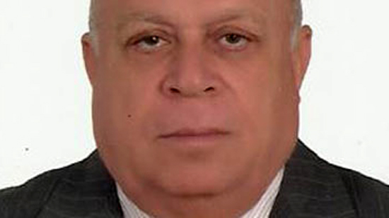 المستشار محمد مصطفى محمد رئيس محكمة استئناف أسيوط 