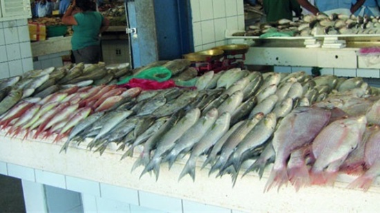 تعرف علي أسعار الأسماك بسوق العبور اليوم الاثنين