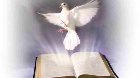 الروح القدس يسكب فى قلوبنا محبة الله 