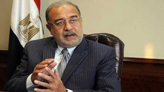 رئيس الوزراء: مصر مستقرة ولديها جيش قوي وقضاء راسخ وبرلمان فاعل