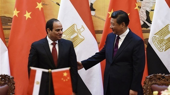 الجالية المصرية فى النمسا تشيد بالمشاركة الناجحة لمصر فى قمة العشرين 