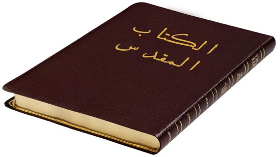  مدير مركز الدراسات القبطية يطالب الكنيسة بترجمة مصرية للكتاب المقدس 