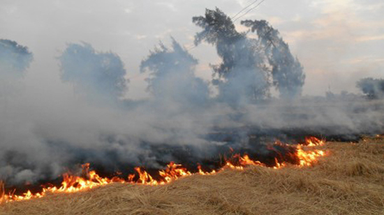 البيئة: السيطرة على 28 حالة حريق مخلفات زراعية