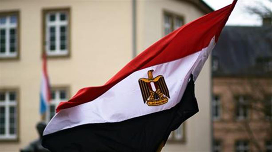 مصر تدين الاعتداء على سفينة مساعدات إنسانية إماراتية بباب المندب