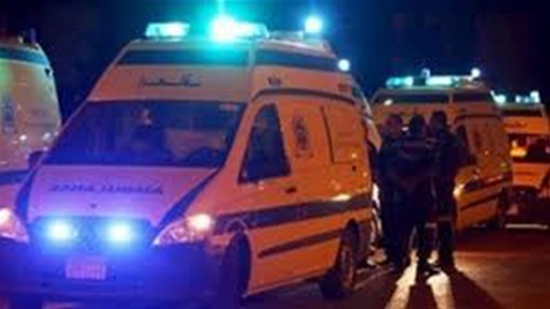 مصرع شخص وإصابة 13 آخرين في انقلاب سيارة بطريق «مصر ـــ أسوان»