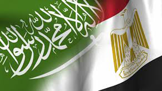 د. نور الدين يكشف تغيير السياسات السعودية تجاه مصر