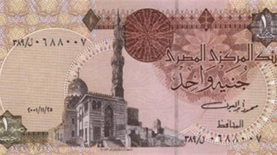 خبير سعودي لـ«المستثمرين»: 2017 عام صعب على الاقتصاد المصري
