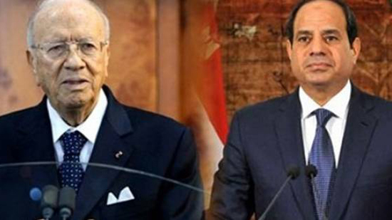 وزير الخارجية ينقل إلى الرئيس التونسي رسالة من الرئيس السيسي