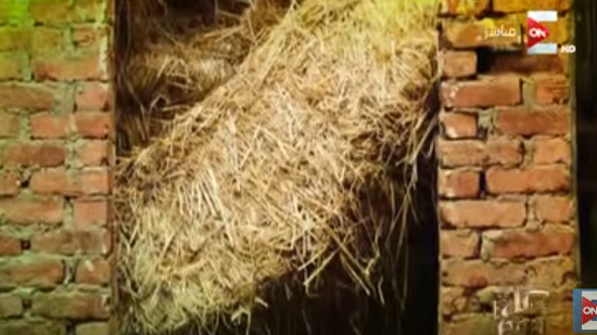 بالفيديو.. مشروع لتحويل قش الأرز إلى ورق ملون