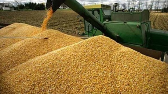 وزيرا التموين والزراعة: اشتراطات صارمة لتوريد القمح لمنع تكرار الأخطاء