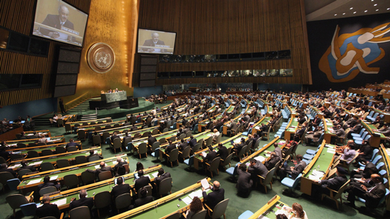 البرادعي: الأمم المتحدة غير فاعلة وغير قادرة.. والمجتمع الدولي 